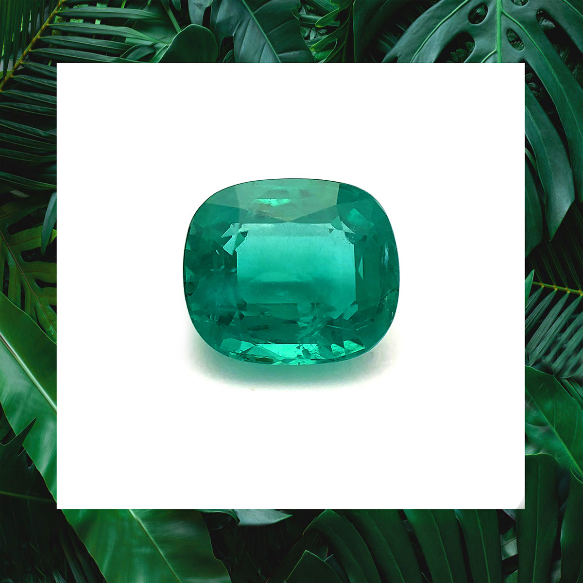 emerald cushion cut chivor mine 